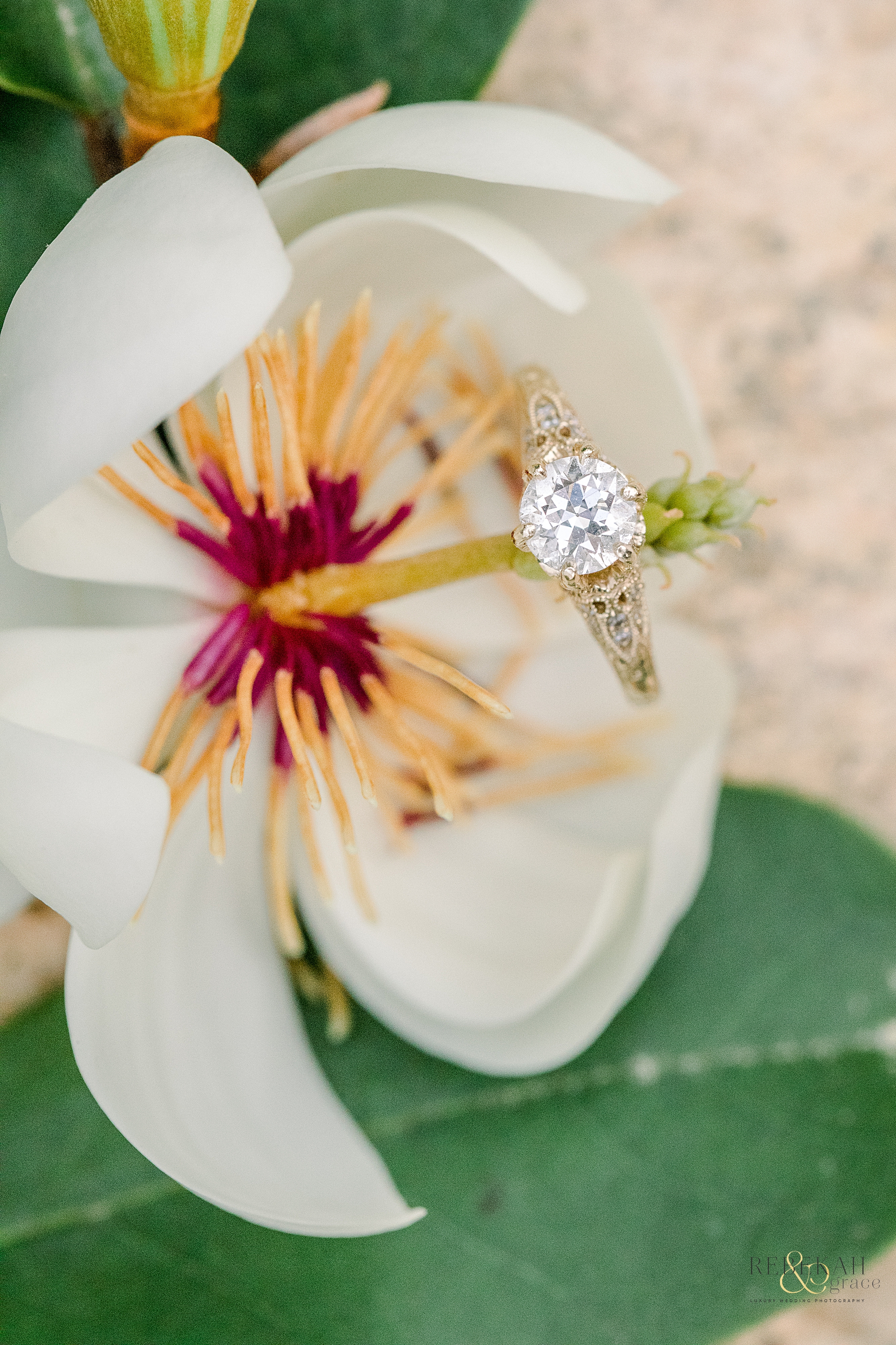 Custom gold engagement ring.  Raleigh engagement photography taken at the JC Raulston Arboretum and Downtown Raleigh North Carolina. Photography by Rebekah & Grace Photography. 
